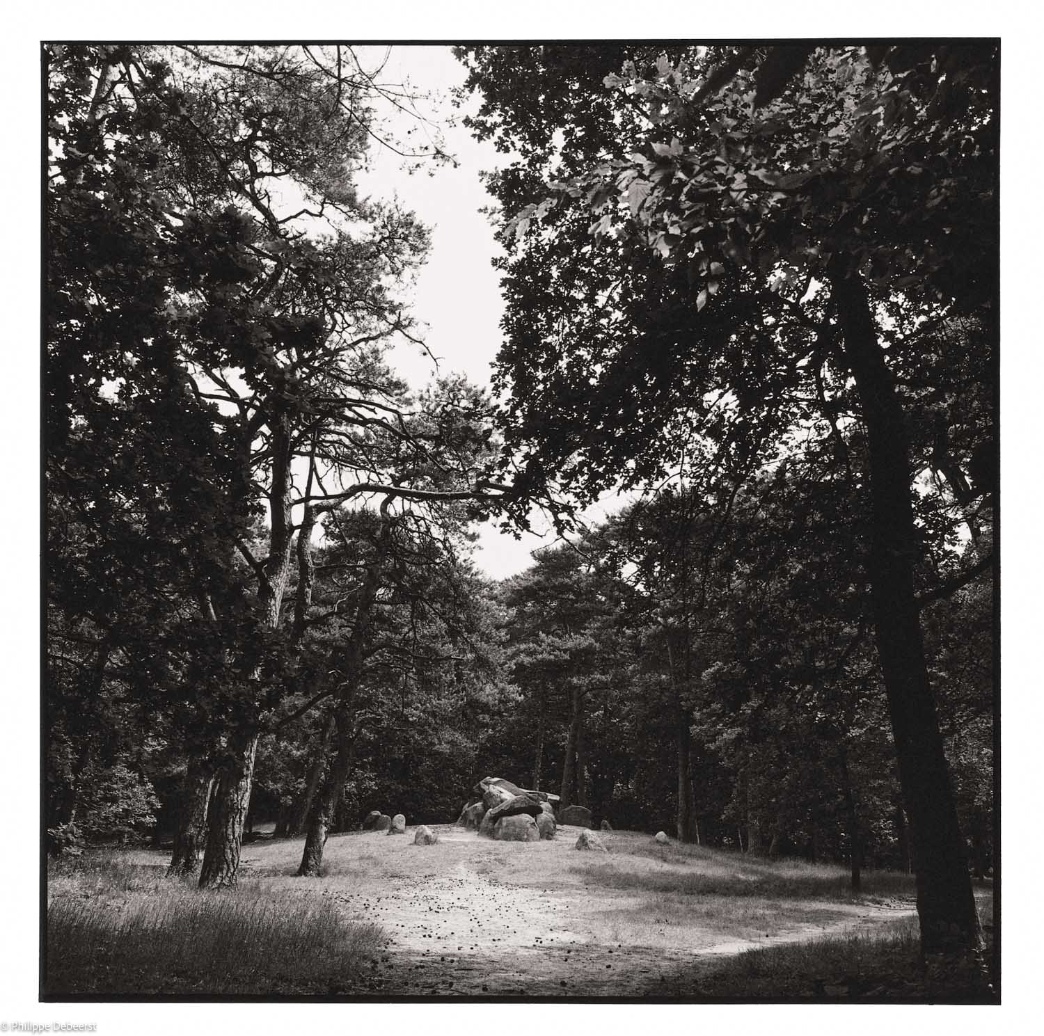17-Megalieten.JPG