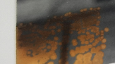 1700732965380.png