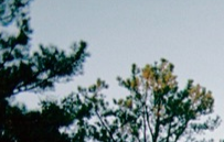 1710100452033.png