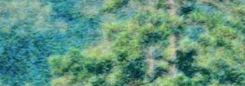 1710100532393.png