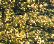 1710100683729.png