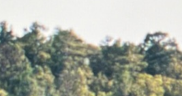 1710100716362.png