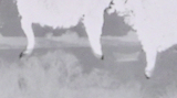 1717956034346.png