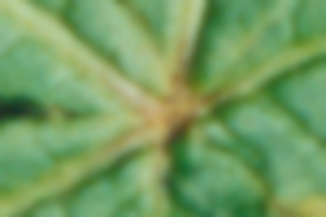 1720695220633.png