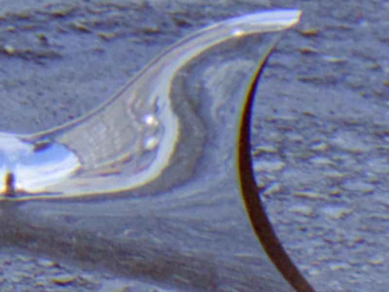 1723552982848.png