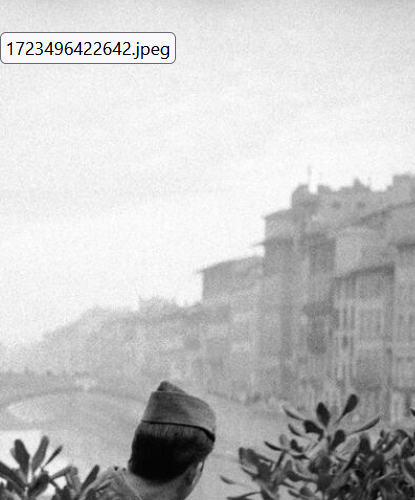 1723623731373.png