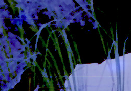 1731350111263.png