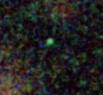 1733592332509.png