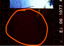 1735992194872.png