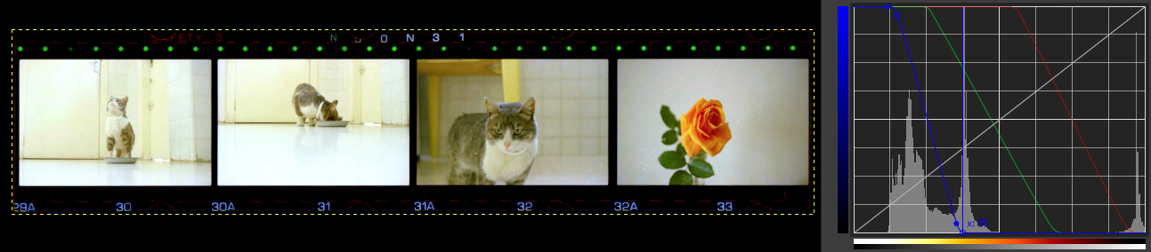 1736538006833.png