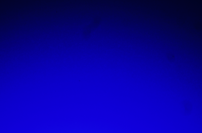 1736799407799.png