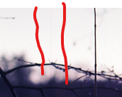1739005820482.png