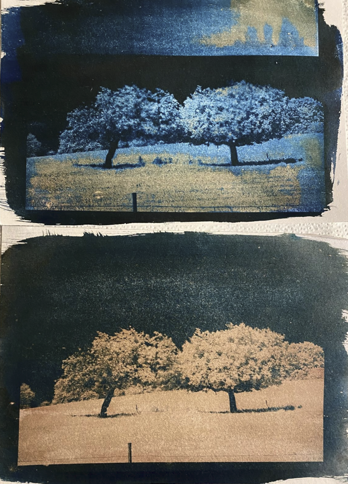 1743108783516.png