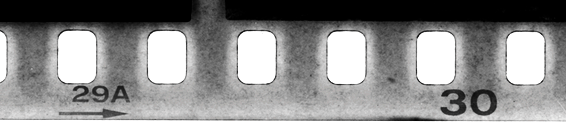 1749633873826.png