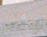 1755327182082.png