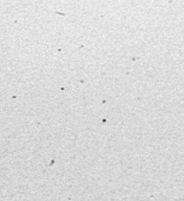 1755500081060.png