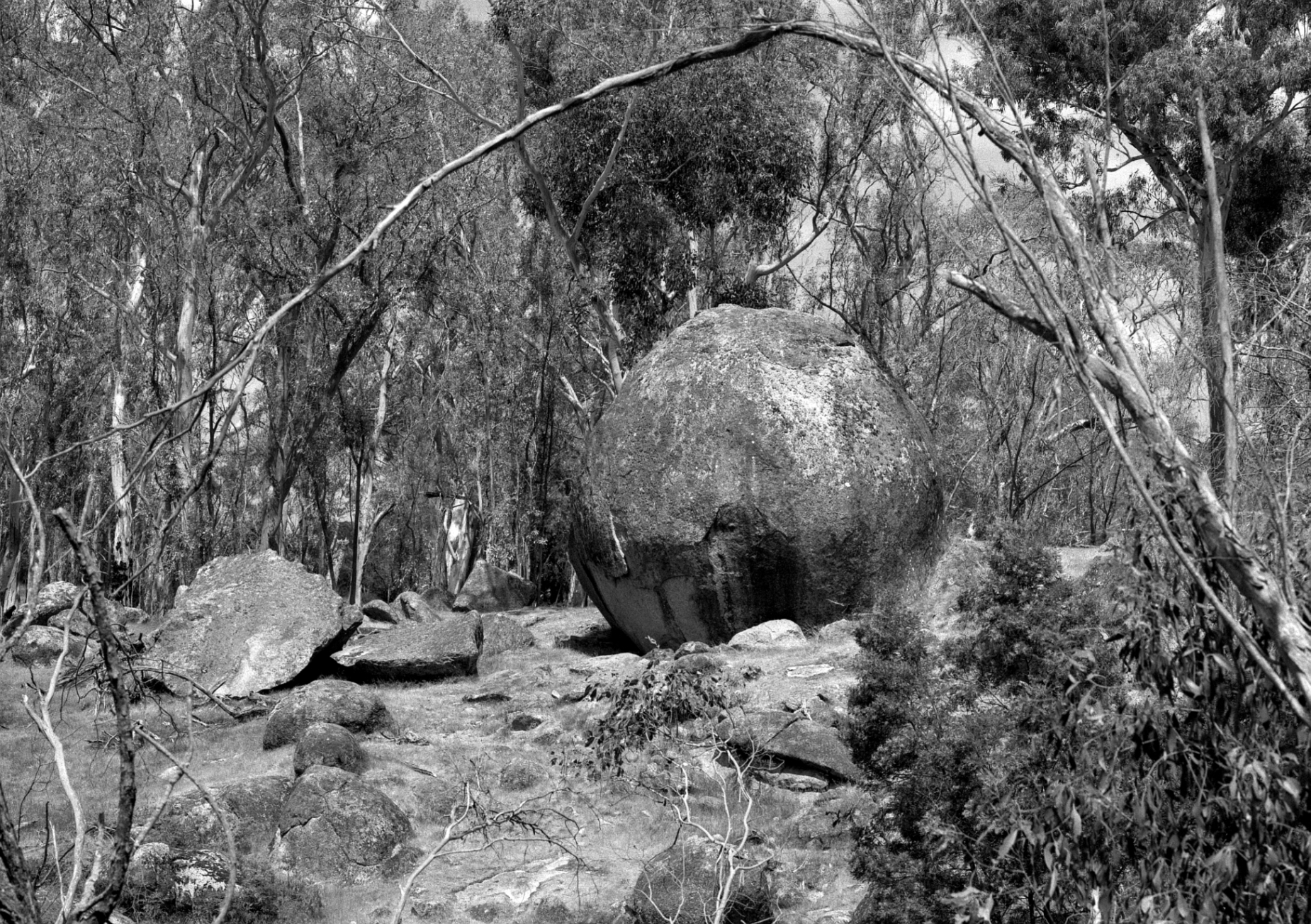 180015_Baileys_Rocks_250_Bergger_400_No_Filter_F22_1-60_5mm_Rise_007_Web.jpg