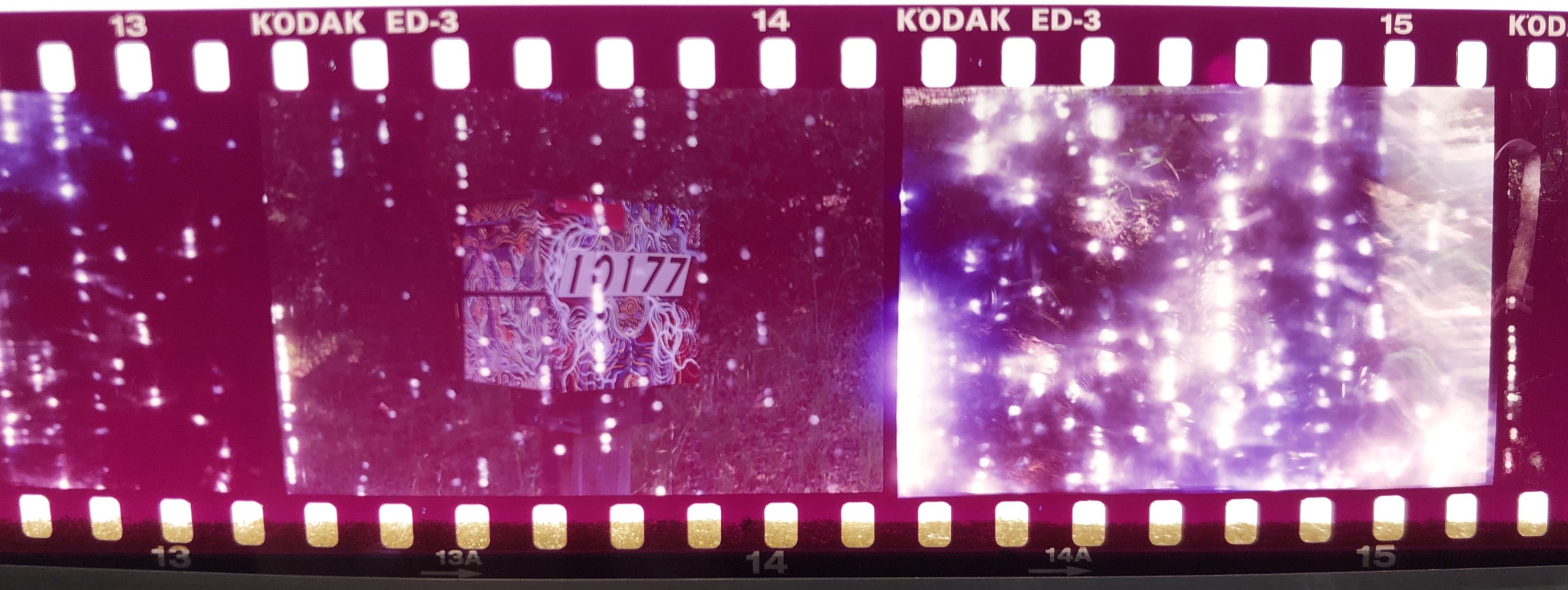 1F8E7B94-57D0-404F-8EBD-B5873944741F.jpeg