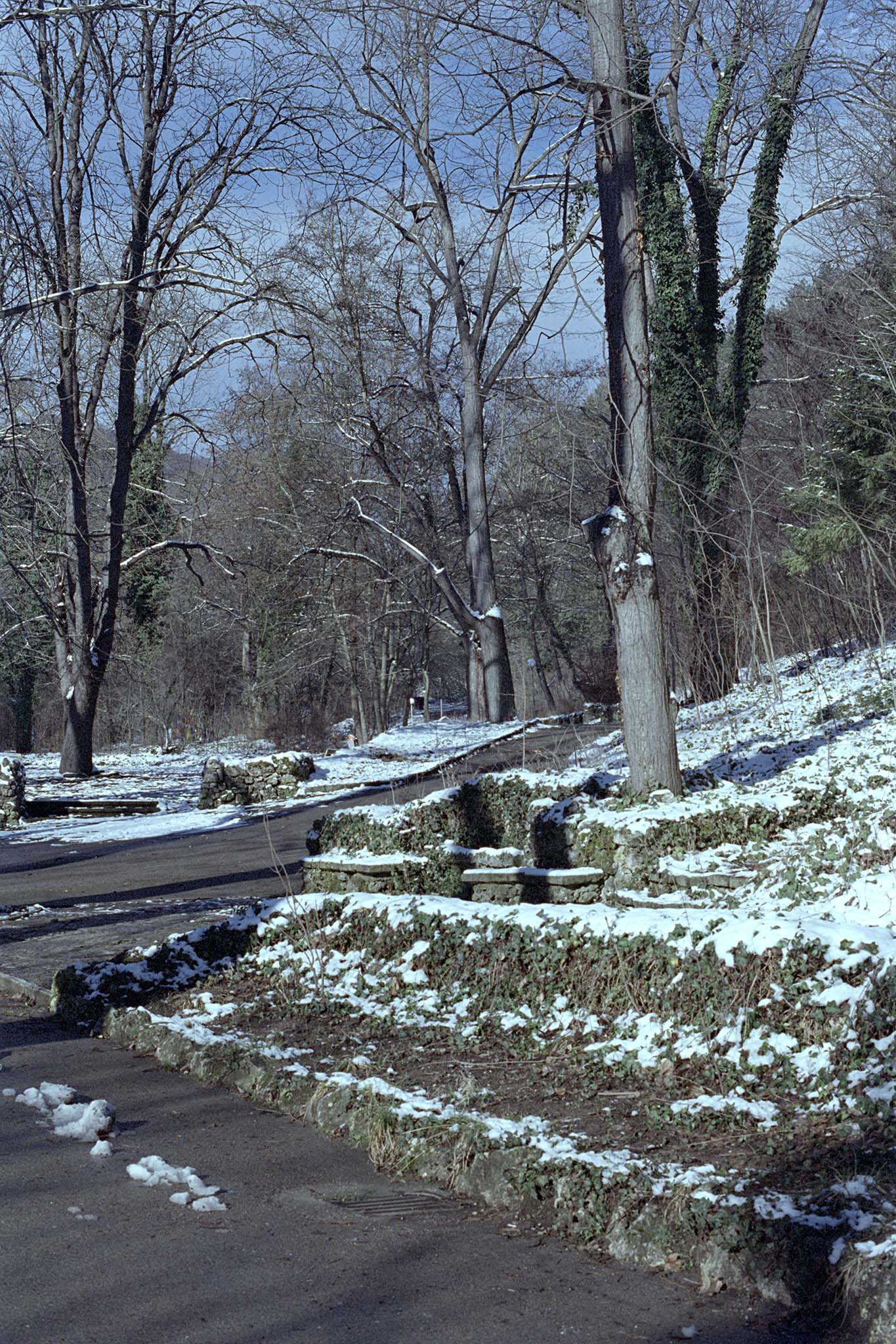2-Fujifilm-8563-Eterna-250D-vuescan.jpg