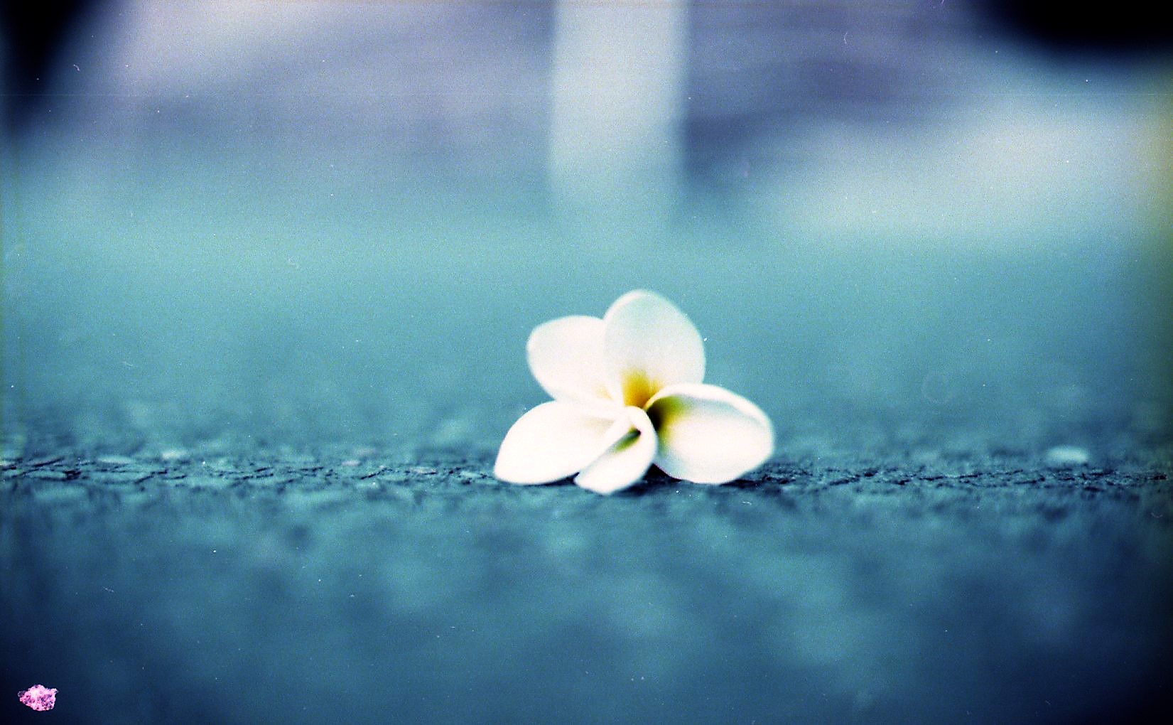 20 11 22 kodak 1,6 iso695 (2).jpg