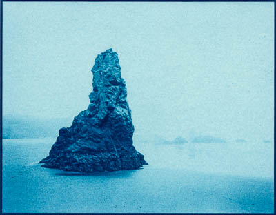 2001-006-10_BergCot_ac_4m_01.jpg