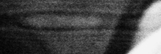 2016-04-10-0008.jpg