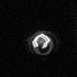 20171107_Floor85_125_8.jpg