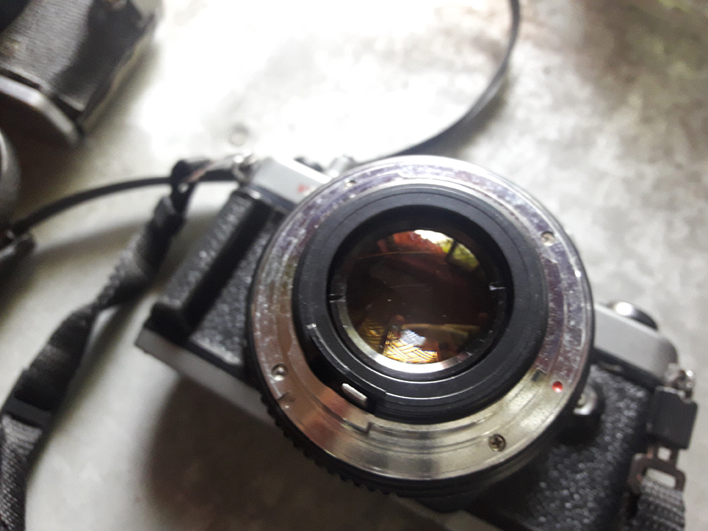 20180405_095825.jpg