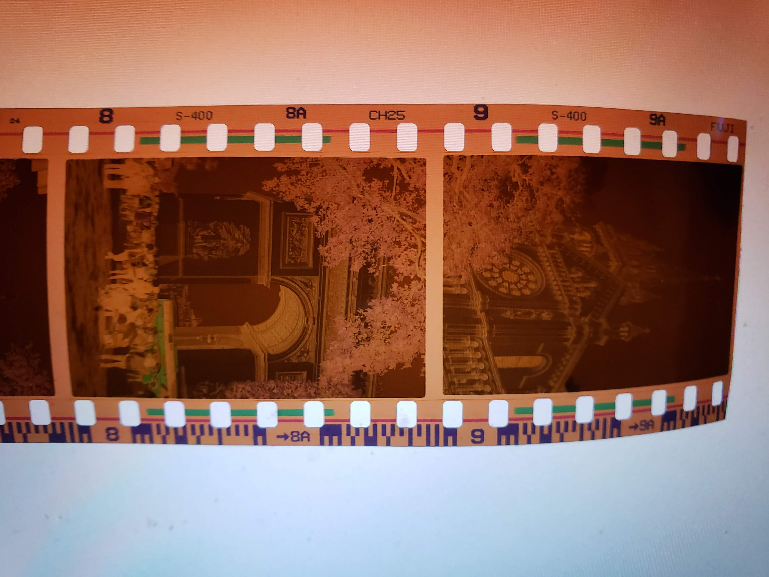 20180828_213216.jpg