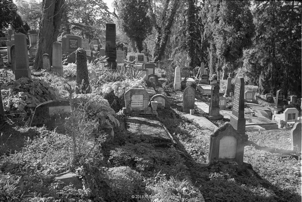 20181011d_Cemetery-ChurchOnHill-Sighișoara_resize.JPG