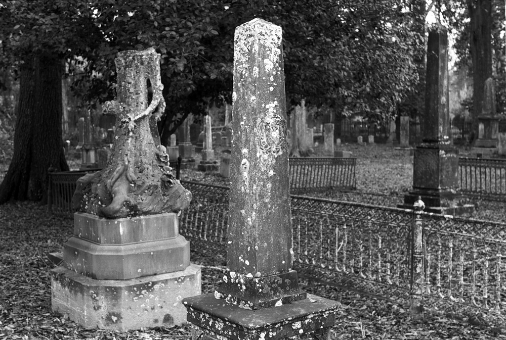 20181215q_WintergreenCemetery-PortGibson_cleaned_resize.JPG