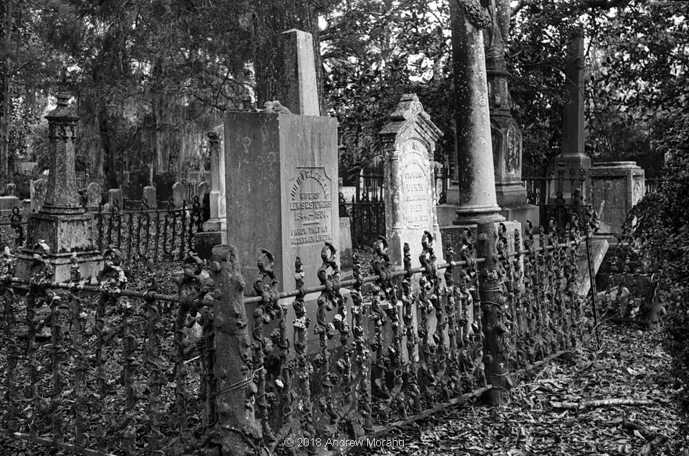 20181215u_WintergreenCemetery-PortGibson_adj_resize.JPG