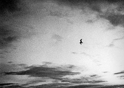 2019-040-27_ps_cc.jpg