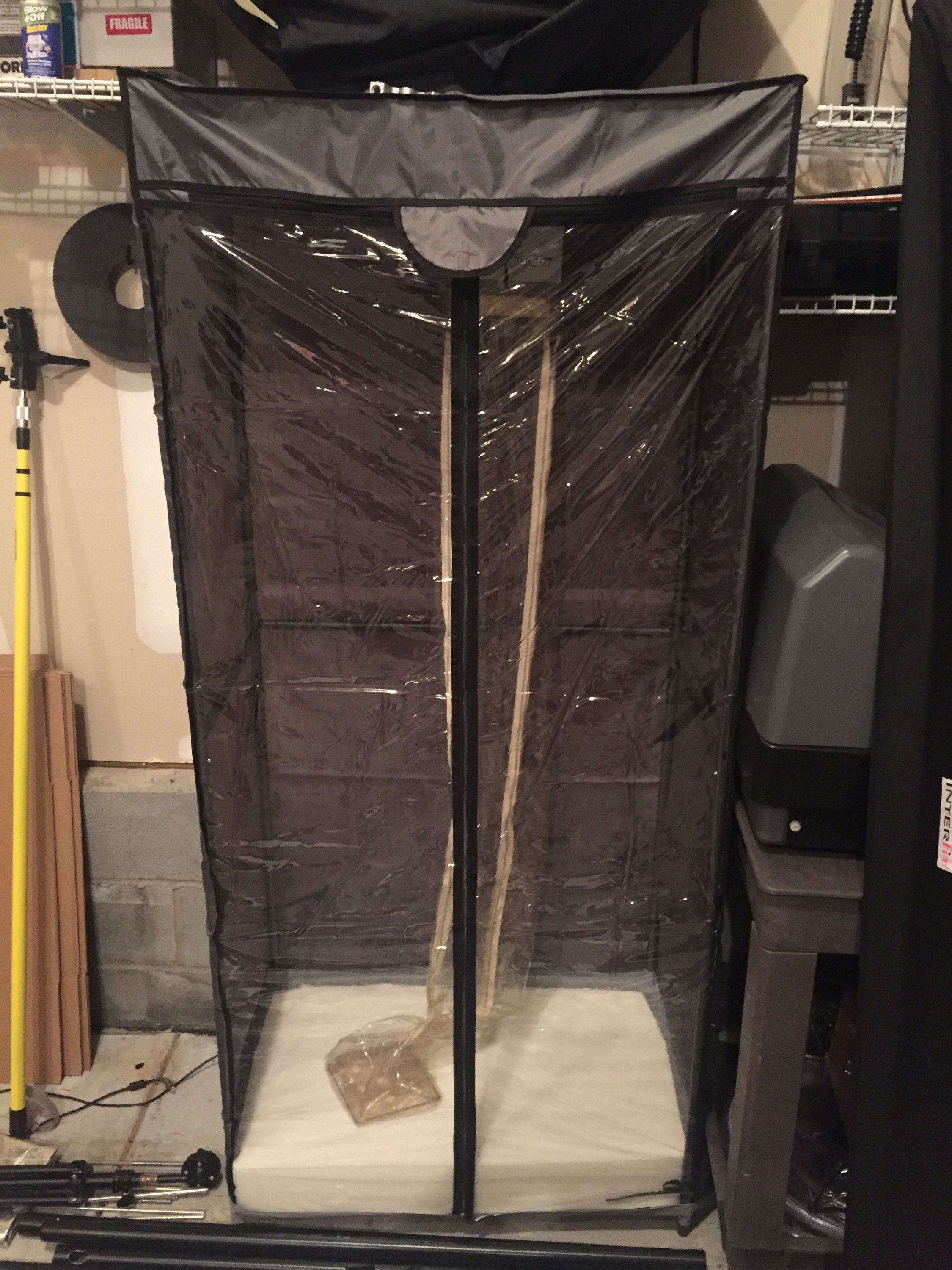 2019-06-20 05.52.45.jpg