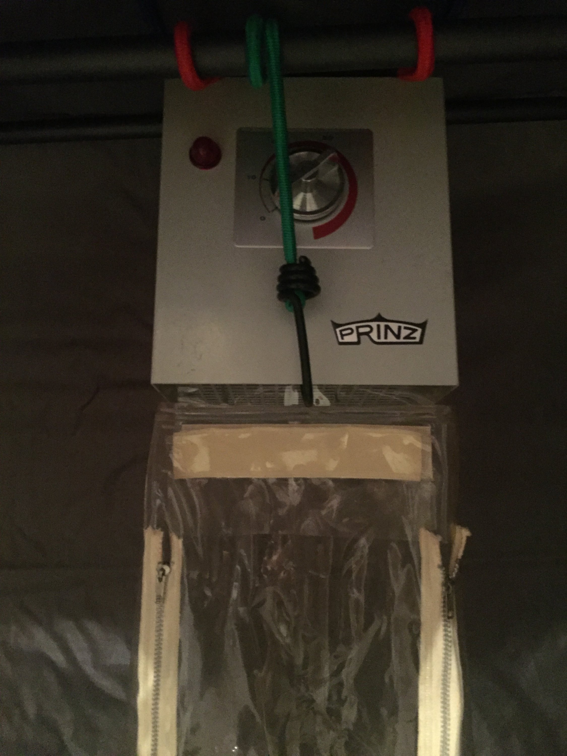 2019-06-20 05.53.09.jpg