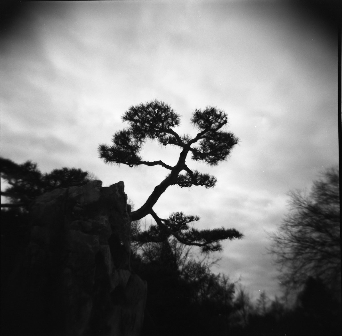 2019-11-25-holga-acros009-001.jpg