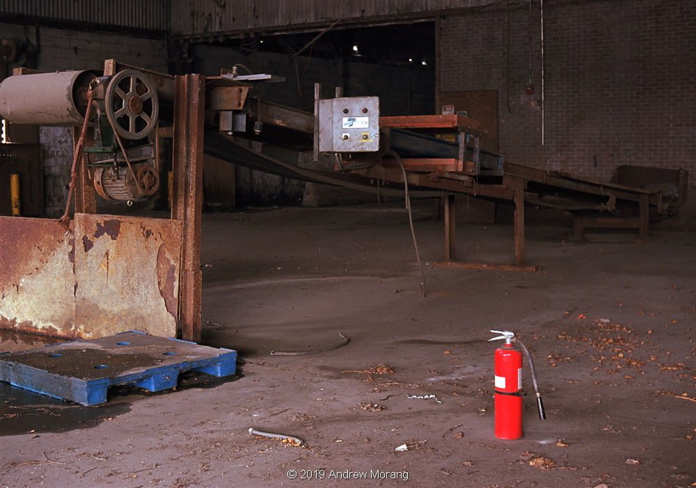20190112m-RubberPlant-Vicksburg_resize.JPG