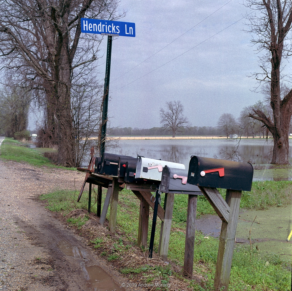 20190314d_MailBoxes_FlowereeRd_Redwood_MS_cleaned_resize.JPG
