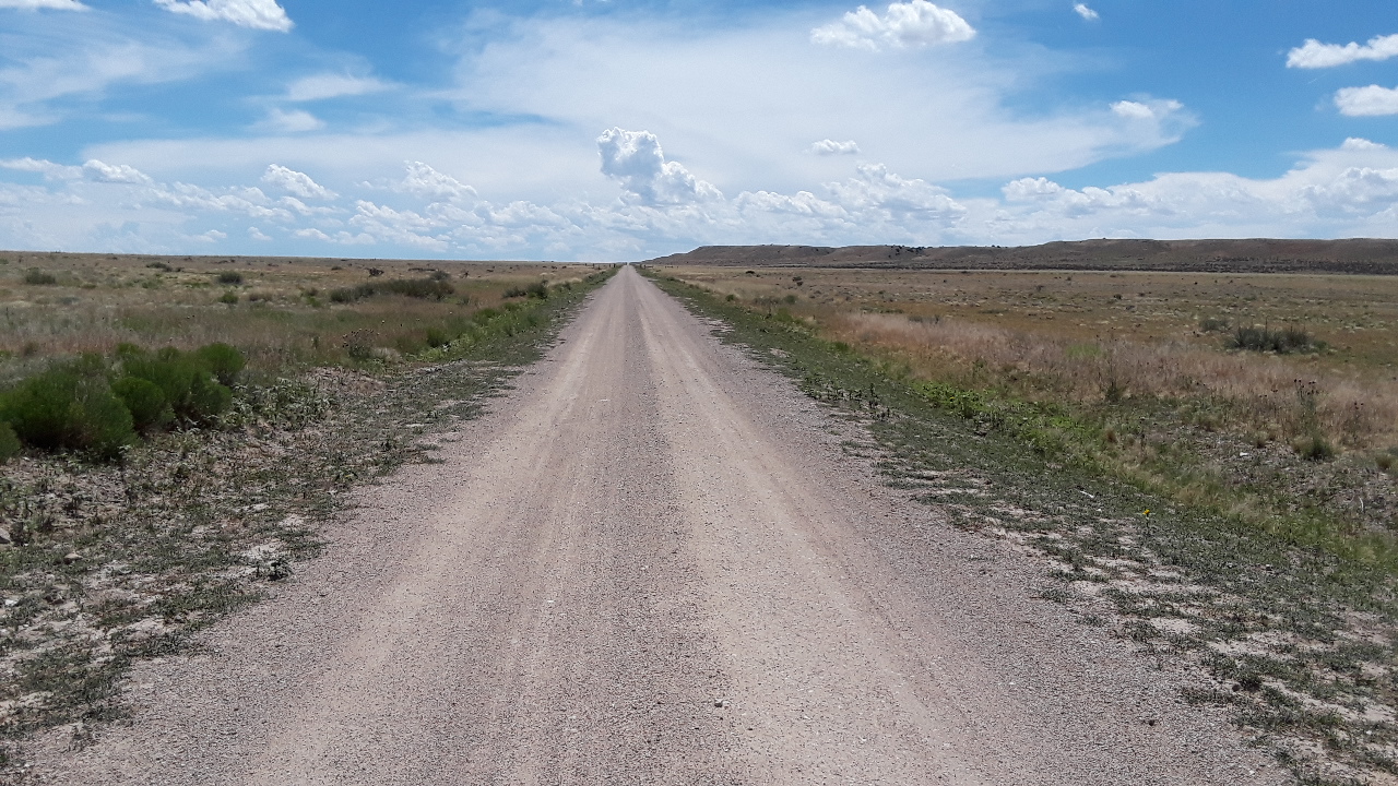 20190702_144447.jpg