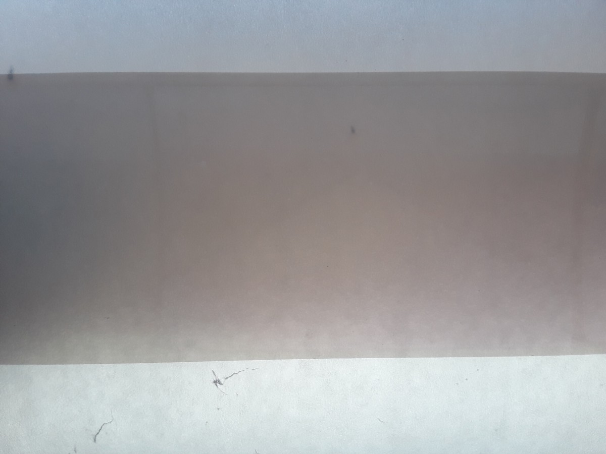 20190707_115925.jpg