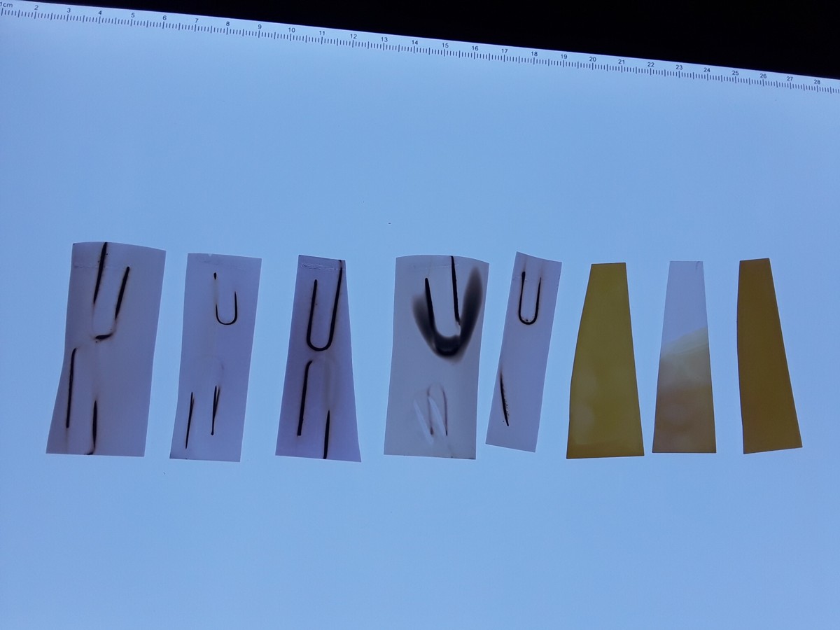 20190726_164106.jpg