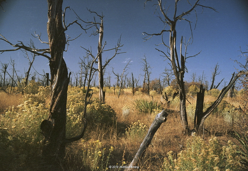 20191027d_MesaVerdeNatPark_CO.JPG