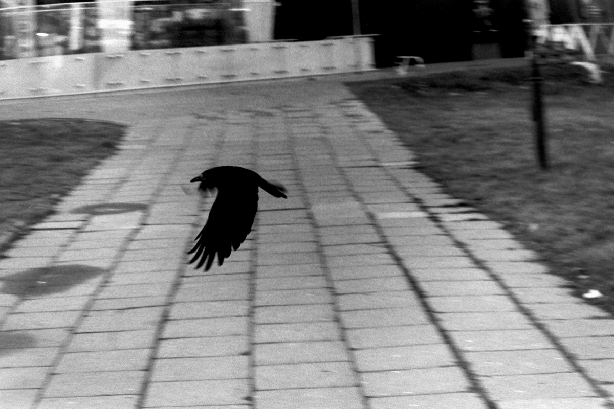 2020-01-18_56.JPG