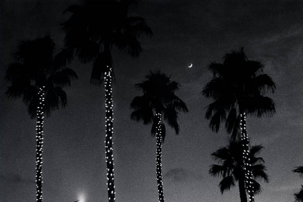2020-040-68_ps_cc_5003.jpg