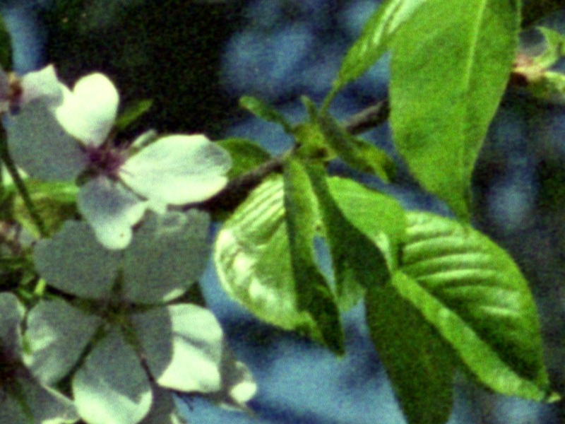 2020-06-13-0001a.jpg