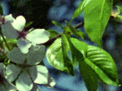 2020-06-13-0001b.jpg
