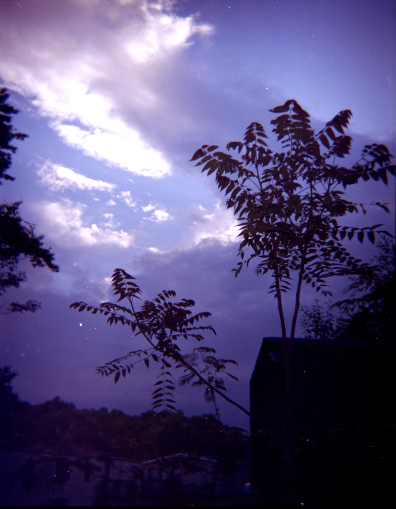 2020-06-14-0007.jpg