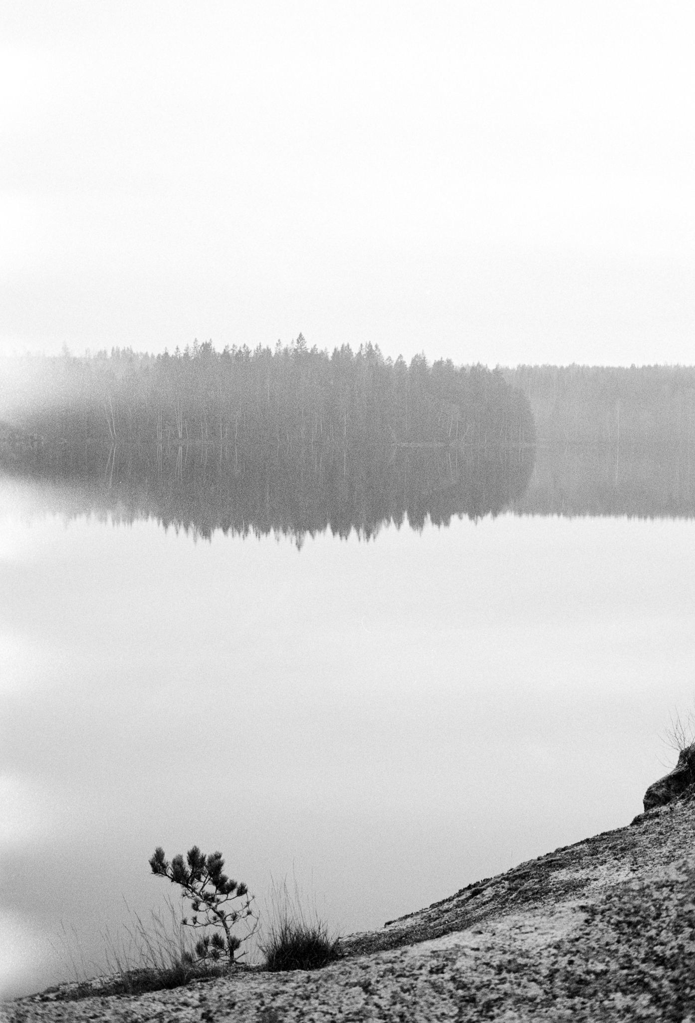 2020-11-15-0007-2.jpg