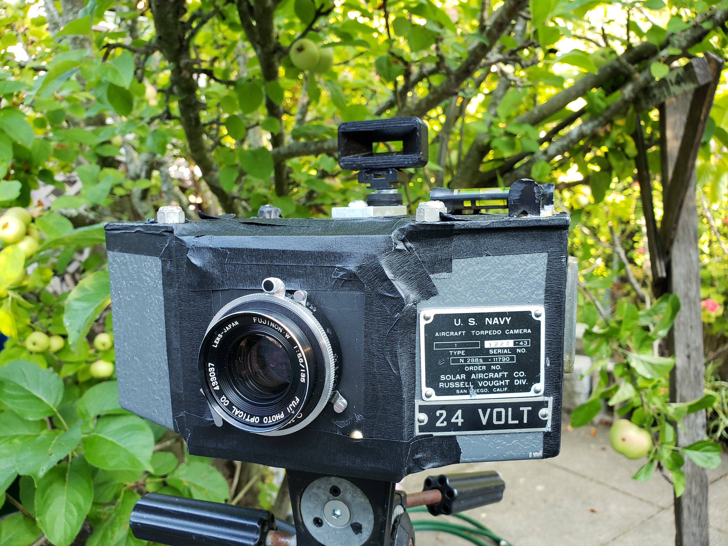 20200725_185946.jpg