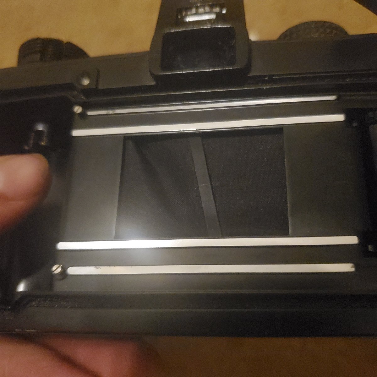 20200822_215113_resize_9.jpg